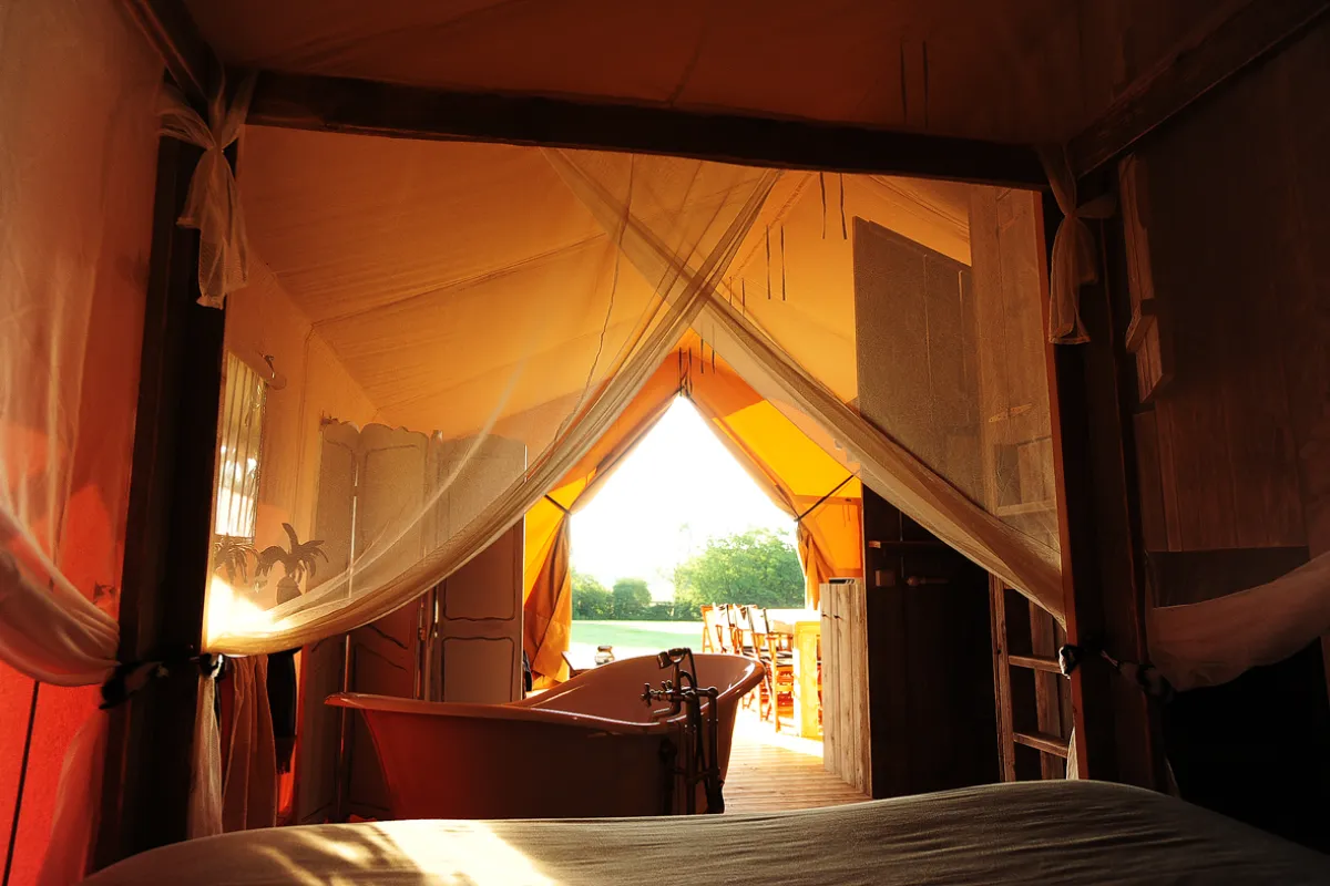 Het uitzicht vanuit het hemelbed