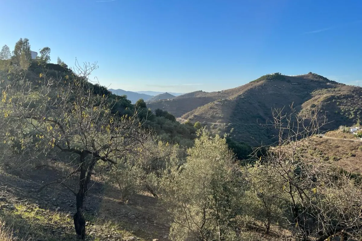 Hiking trails