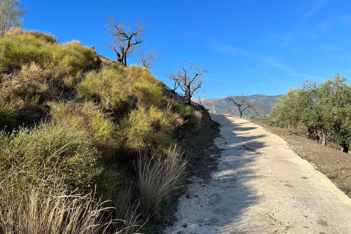 Hiking trails