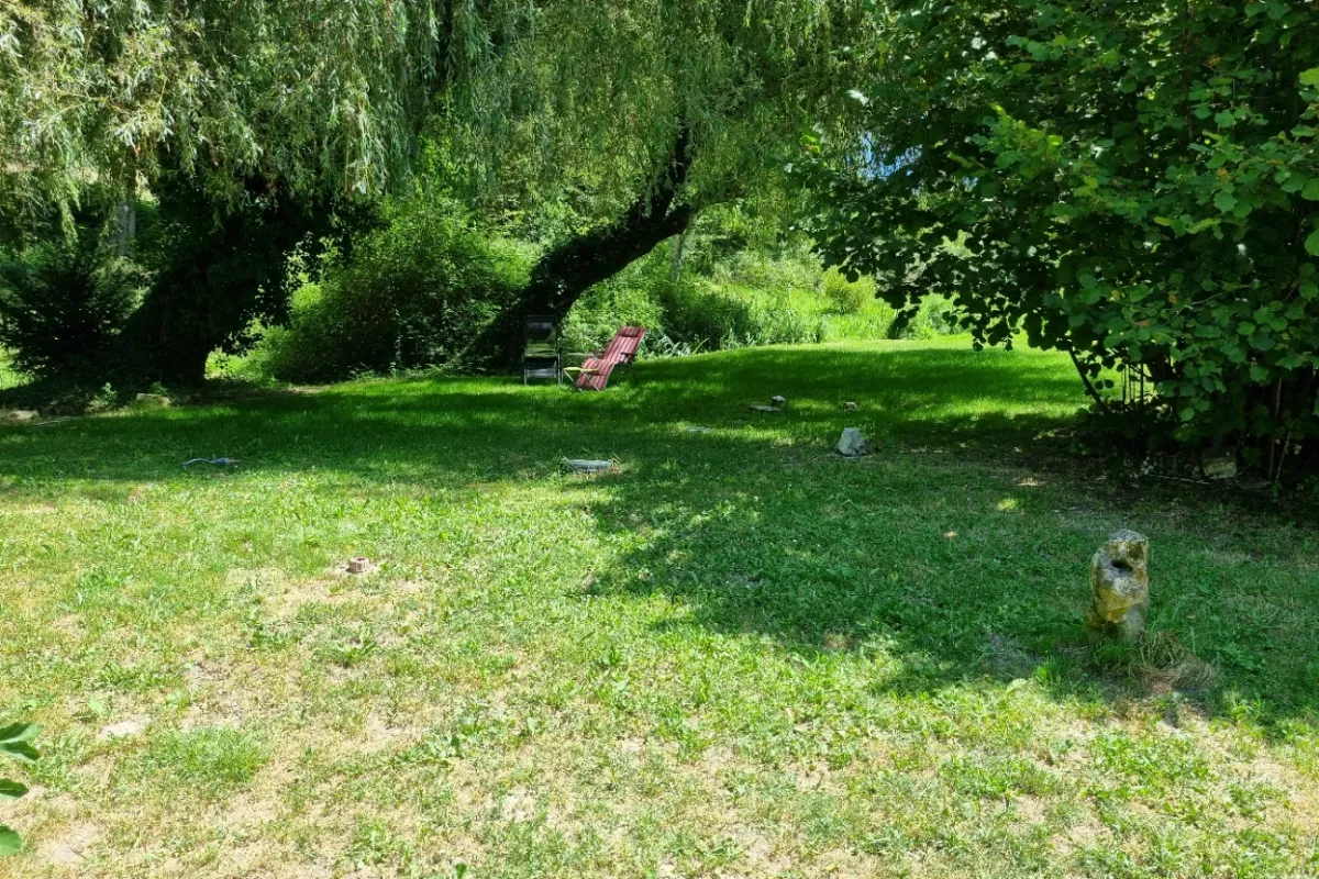 schaduwrijke tuin