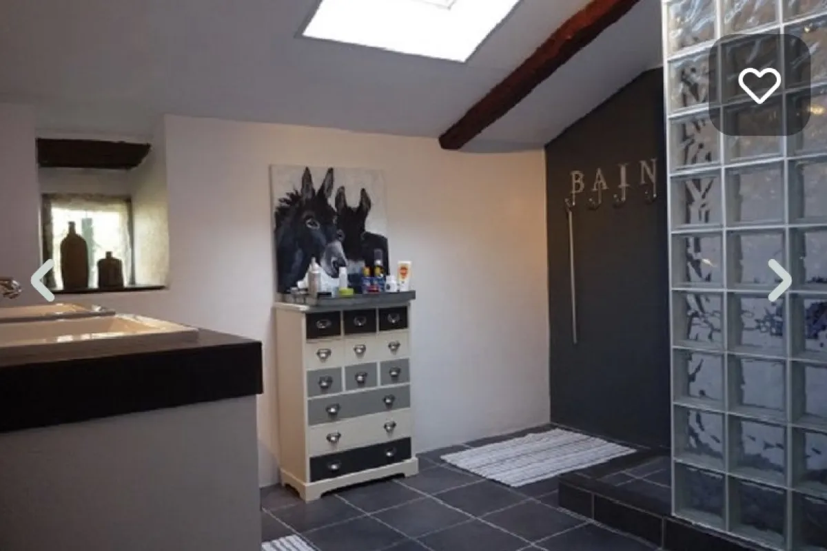 De badkamer met ruime douche en dubbele wastafel