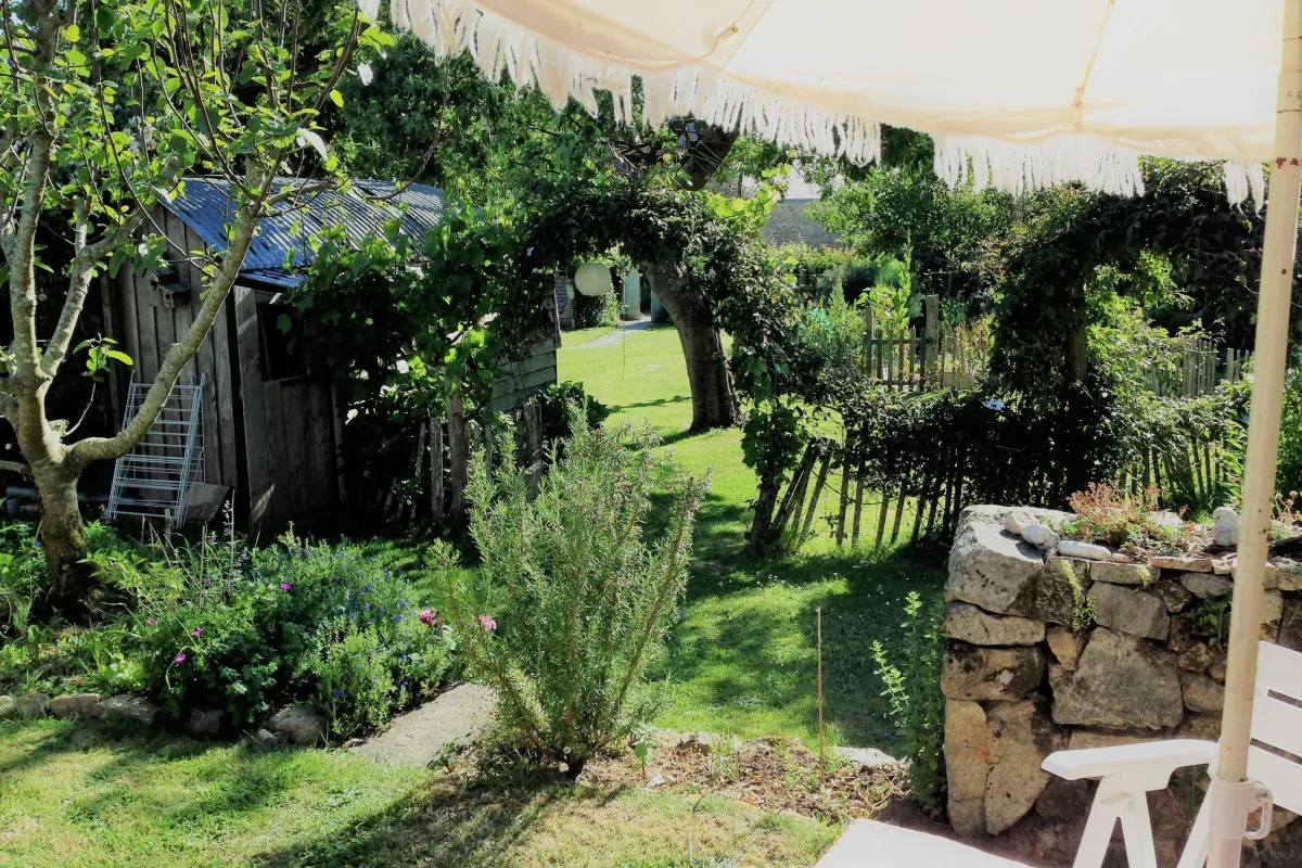 Tuin Cosy Cabin