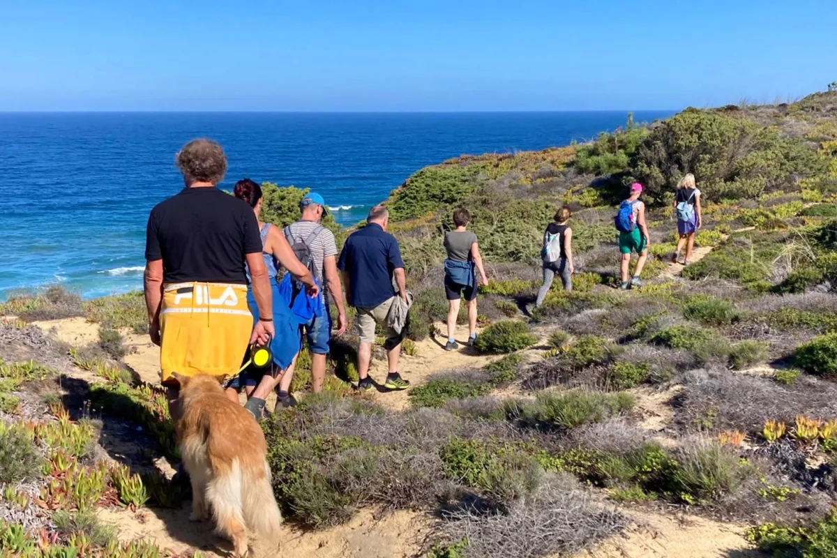 Georganiseerde wandelingen