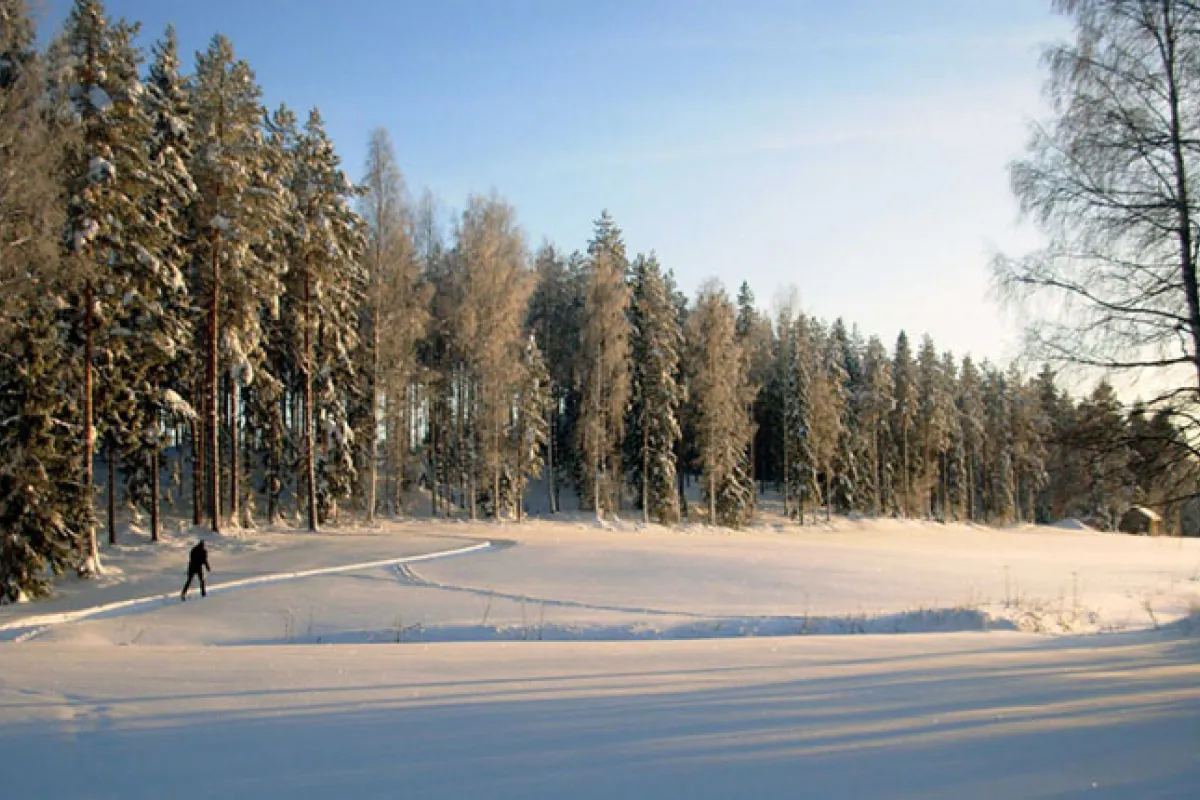 back-to-nature-in-finland.jpg