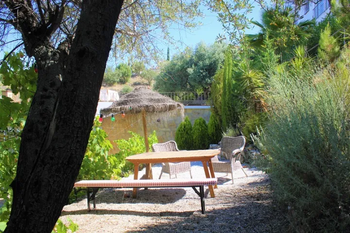 Studio OLIVA - Terras