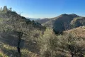 Hiking trails