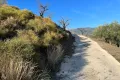 Hiking trails