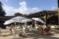 Terras op de Plaza