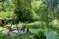 vijver