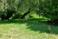 schaduwrijke tuin
