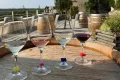 De Sancerre wijnen bij Bourges
